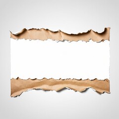 Ripped torn paper edges isolated on white background