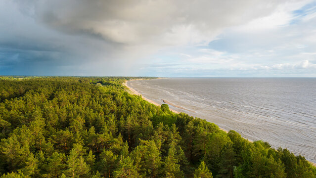 Aerial view of beautiful coastline and lush forest by the serene Baltic Sea, Paernu, Estonia.