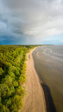 Aerial view of serene coastline with lush forest and tranquil beach, Paernu, Estonia.