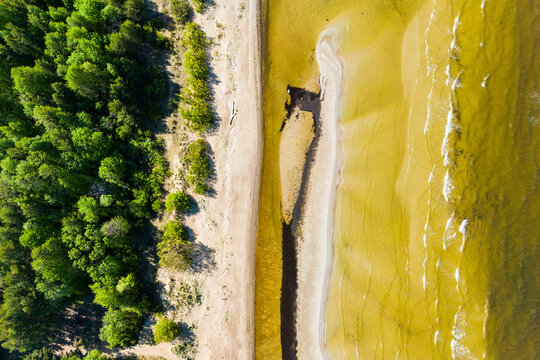 Aerial view of beautiful sandy beach and tranquil seaside forest, Paernu, Estonia.