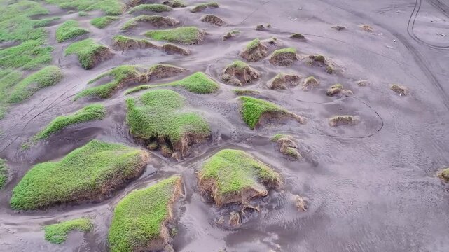 Aerial view of serene beach with green grass and unique sand patterns, Sandvik, Iceland.