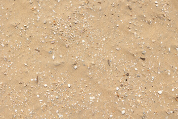 Beach with sand, stones, mussels and shells. Nature, outdoors, natural conditions, sunlight, summer, day.