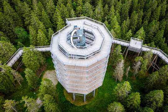 Aerial view of a scenic treetop trail and view tower surrounded by lush forest, Rogla, Slovenia.