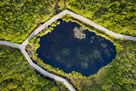 Aerial view of Lovrenska jezera lake surrounded by lush forest and a scenic trail, Rogla, Slovenia.