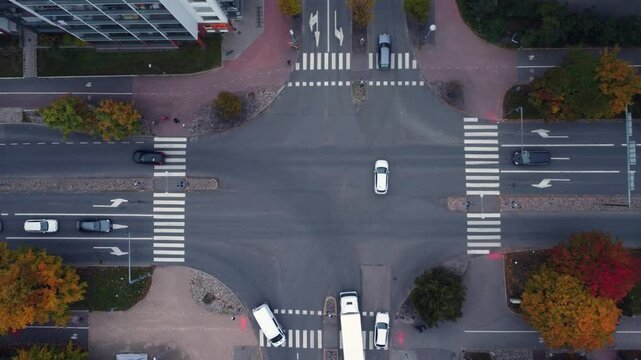 Bright autumn trees line city street intersection, seen from above