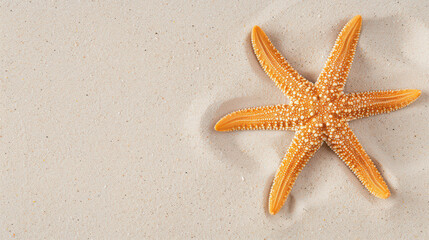 Seashell Starfish on Sandy Shore: A single, vibrant orange starfish rests gracefully on pristine white sand, a beacon of summer's beauty and serenity. Its delicate form, captured in close-up.
