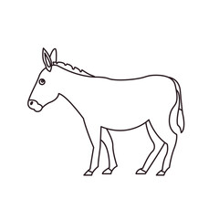 Donkey animal vector illustration symbol