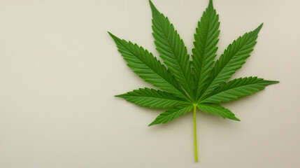 Marijuana in the modern world