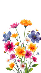 Empathy Colorful Floral Horizontal isolated with white highlights, png