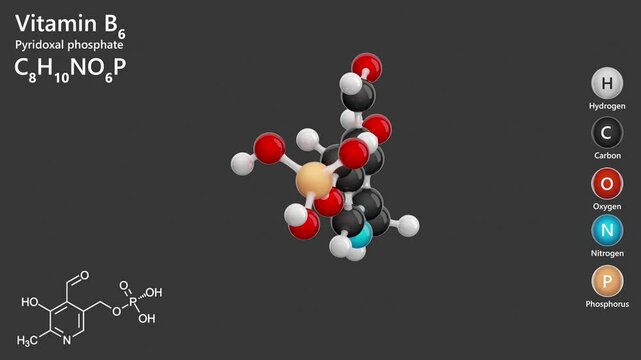 Pyridoxal phosphate. Animated 3d model of molecule. Molecular formula: C8H10NO6P. Chemical model: Ball and Stick. The active form of vitamin B6. Gray background. 3D rendering. Seamless loop