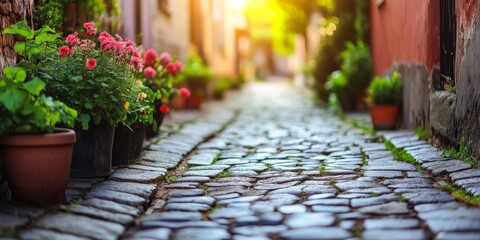 Fototapeta premium Clean and New Driveway with Pebbles Leading Up to the House