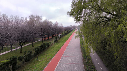 city park in the bright spring day