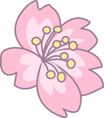 Pink Cherry Blossom Flower