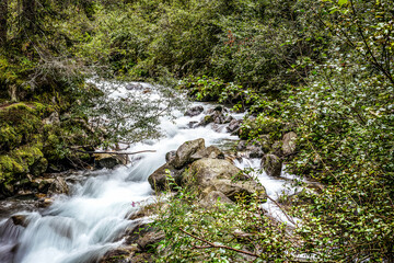 Nebel am Stuibenfall