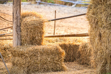 Harvest Time Abundance - A Pile of Hay Bales Ready for Use