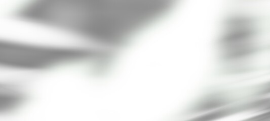 An abstract background with an organic shadow cast over a white textured wall