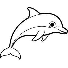 dolphin illustration