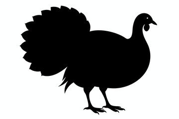 Silhouette turkey on white background.