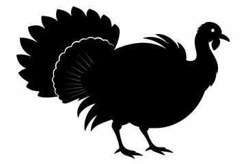 Silhouette turkey on white background.