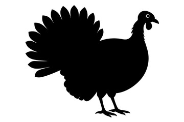 Silhouette turkey on white background.