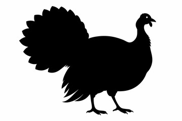 Silhouette turkey on white background.