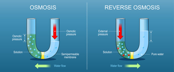 Osmosis and Reverse osmosis