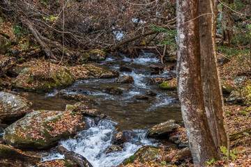 Flowing water reminds us that nothing is permanent, Anna Ruby Falls, Helen, Georgia, United States of America