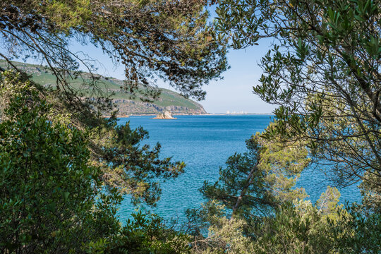 Tree and pine leaves framing the blue sea at Portinho da Arr&aacute;bida beach, Set&uacute;bal PORTUGAL