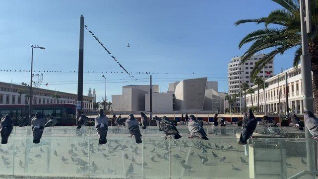Casablanca, Morocco - 16 October 2024 : view of the new tram railways - City scape - Casablanca tramway from the Grand Theatre of Casablanca in Mohammed V square