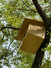 Charming Wooden Birdhouse Nestled Among Lush Green Leaves