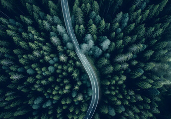Aerial view of asphalt road through green forest with pine trees, top-down view. Forest Road view from above.