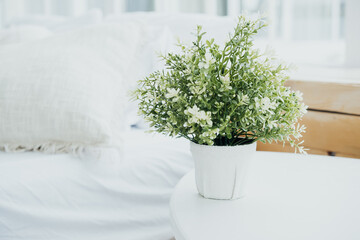 A small potted plant with white flowers on a table in a cozy living room setting