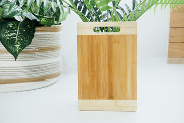 Bamboo cutting board placed in a bright kitchen surrounded by decorative green plants