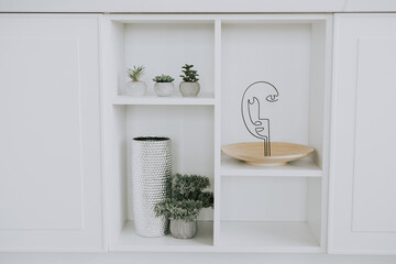 Modern minimalist decor with plants and a decorative bowl