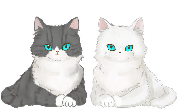くつろぐ白猫とグレーの猫ちゃんの透過セット