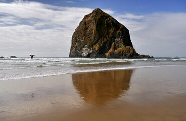 Rock cliff on the beach with reflection in the water, beautiful scenery of Oregon, USA.