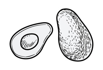 Avocado. Mexican food cooking ingredient. Sketch style drawing, hand drawn engraving decorative element. Whole and half fruit. Vegetable vitamin diet. Healthy breakfast. Vector isolated illustration