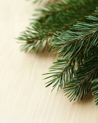 Evergreen fir tree branch lying on wood background
