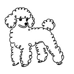 Minimalist Line Drawing of a Poodle Dog Outline with Curly Fur