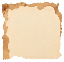 Fototapeta premium PNG Coffee ripped paper backgrounds text white background.