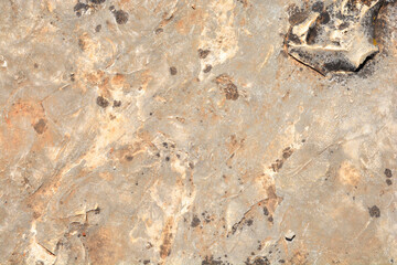 Stone surface on a sunny day
