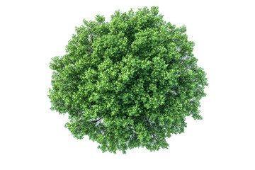 Fototapeta premium Elegant Hall Tree with Built-in Seating and Storage for Entryway Organization with Isolated on Transparent Background