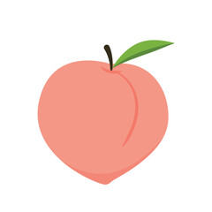 Peach cartoon vector. Doodle peach with leaves icon. Peach fruit in shape of heart isolated on white background. Farm, natural food, fresh fruits.