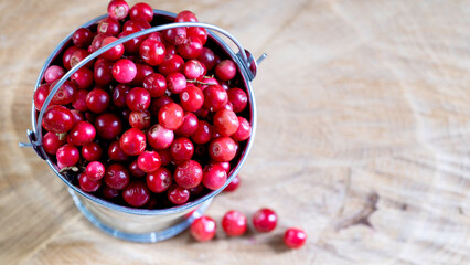 Ripe lingonberries in a decorative bucket on a wooden background
