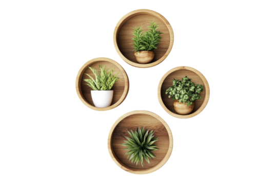 Sleek Round Wall Shelf for Modern Decor Isolated on Transparent Background