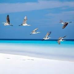 Obraz premium A Flock of Carefree Gulls Gliding Through the Serene Seaside Sky