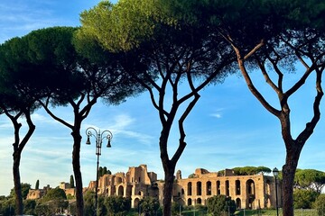 Circus Maximus from Rome city seen through the tall stone pine umbrella trees.