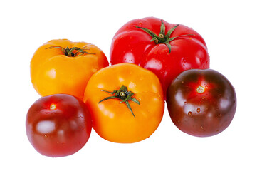 Tomatoes red, yellow and black isolate on white. Tomatoes with drops of water.