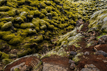 Eldhraun lava fields, nature sceneries. On the way from Vik to Hofn, Iceland