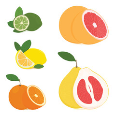 Set of citrus: grapefruit, pomelo, orange, mandarin, lemon and lime